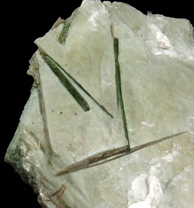 Elbaite Tourmaline in Muscovite from Strickland Quarry, Collins Hill, Portland, Middlesex County, Connecticut