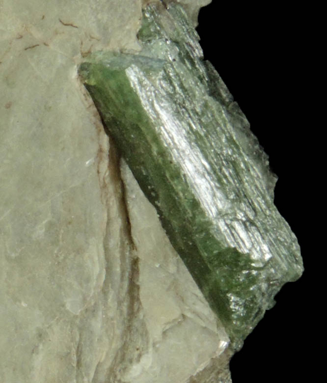 Elbaite Tourmaline in Muscovite from Strickland Quarry, Collins Hill, Portland, Middlesex County, Connecticut