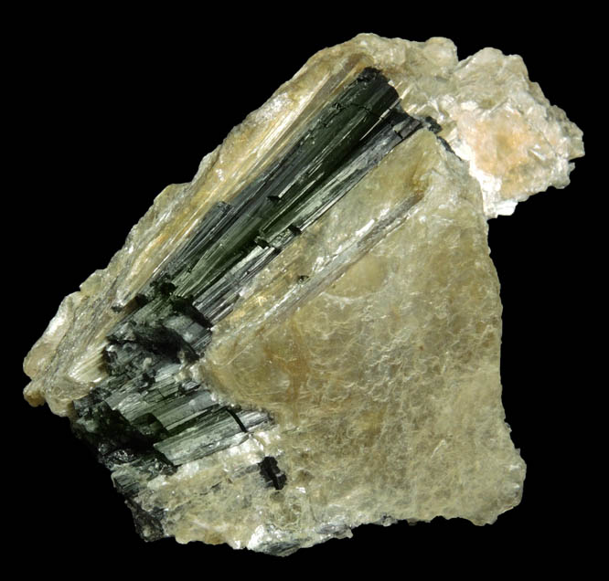 Schorl-Elbaite Tourmaline in Muscovite from Strickland Quarry, Collins Hill, Portland, Middlesex County, Connecticut