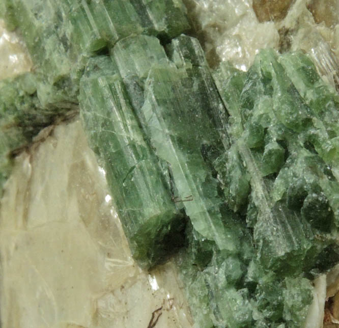 Elbaite Tourmaline in Muscovite on Quartz from Strickland Quarry, Collins Hill, Portland, Middlesex County, Connecticut