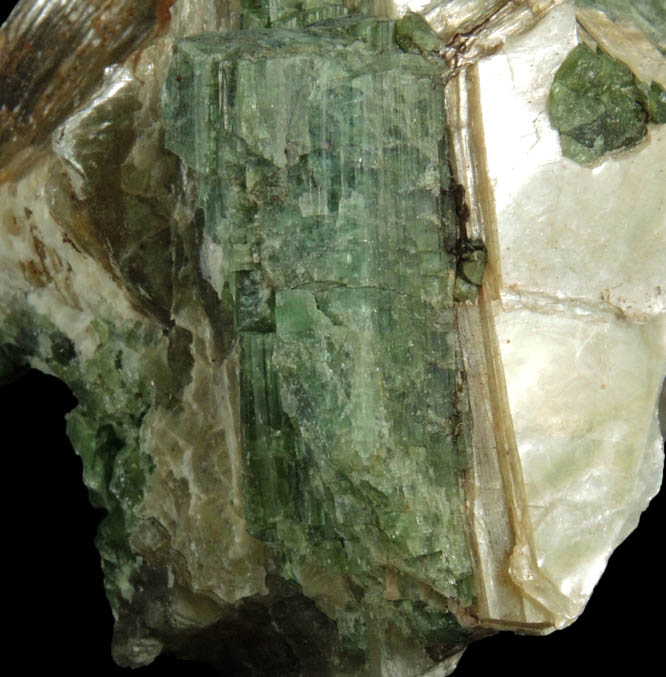 Elbaite Tourmaline in Muscovite from Strickland Quarry, Collins Hill, Portland, Middlesex County, Connecticut