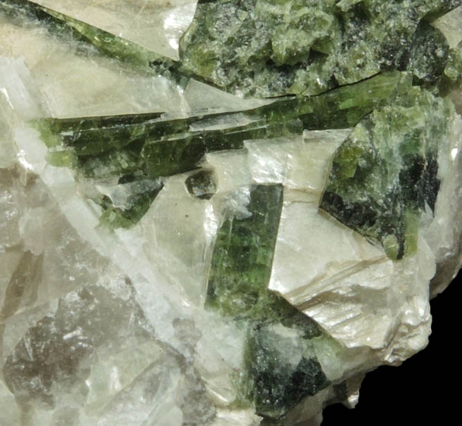 Elbaite Tourmaline in Muscovite on Quartz from Strickland Quarry, Collins Hill, Portland, Middlesex County, Connecticut