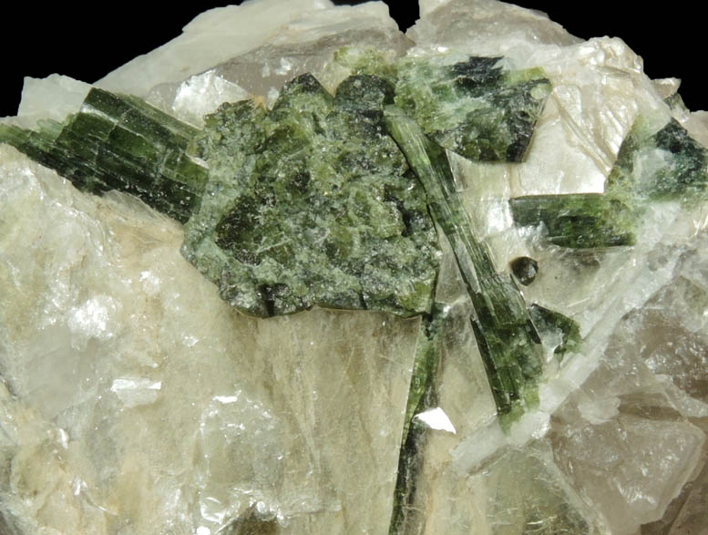 Elbaite Tourmaline in Muscovite on Quartz from Strickland Quarry, Collins Hill, Portland, Middlesex County, Connecticut