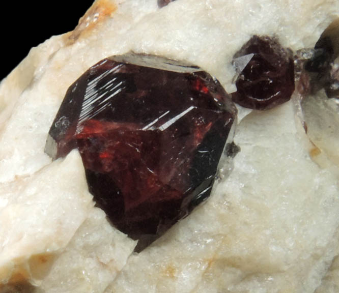 Almandine Garnet on Albite from Topsham District, Sagadahoc County, Maine