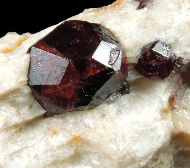 Almandine Garnet on Albite from Topsham District, Sagadahoc County, Maine