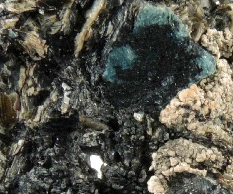 Kornerupine with Sapphirine in Phlogopite from Fiskenaesset, 160 km south of Godthb, Greenland (Type Locality for Kornerupine)