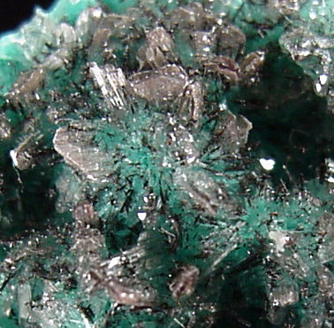 Hemimorphite and Aurichalcite from Mapimi District, Durango, Mexico