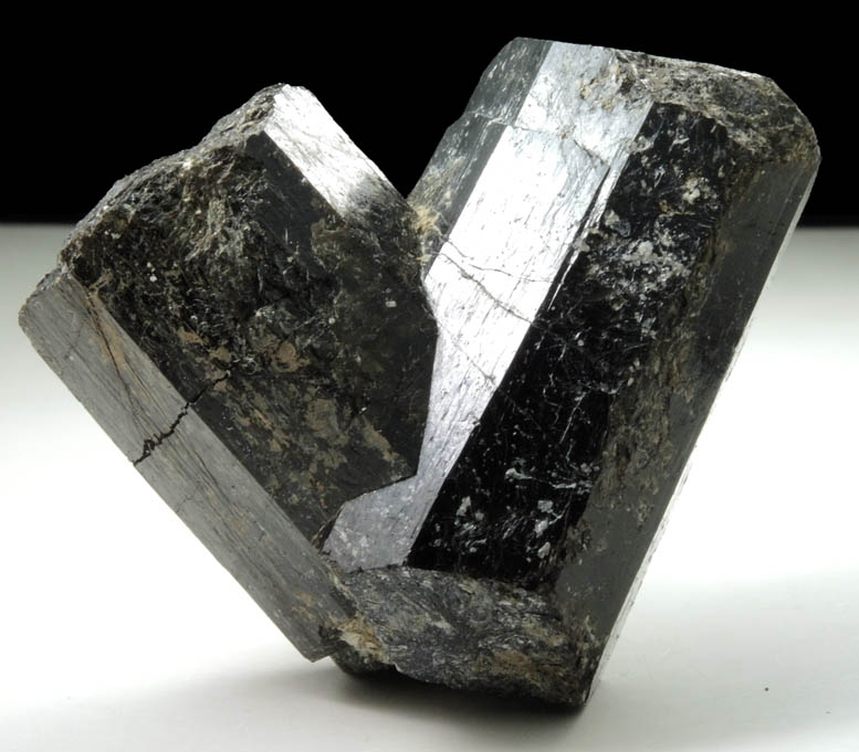 Dravite-Schorl Tourmaline from Tourmaline Prospect 100 m. west of Biermann Quarry, Bethel, Fairfield County, Connecticut