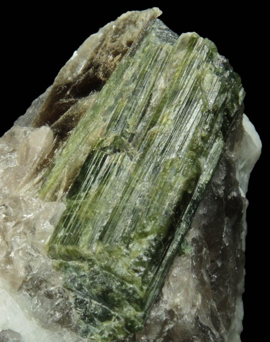 Elbaite Tourmaline from Strickland Quarry, Collins Hill, Portland, Middlesex County, Connecticut