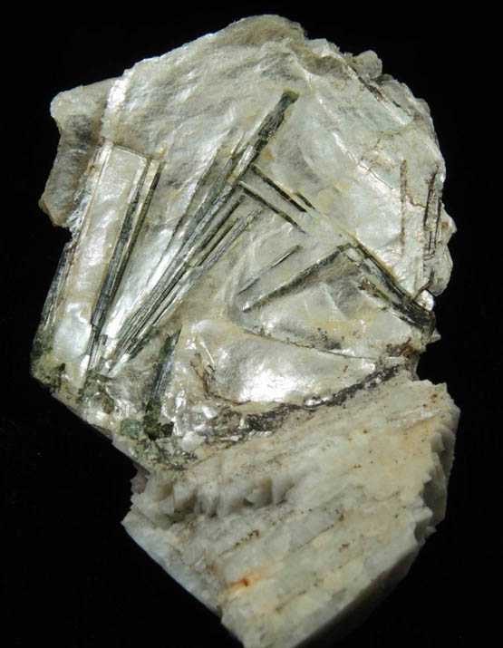 Elbaite Tourmaline in Muscovite from Strickland Quarry, Collins Hill, Portland, Middlesex County, Connecticut