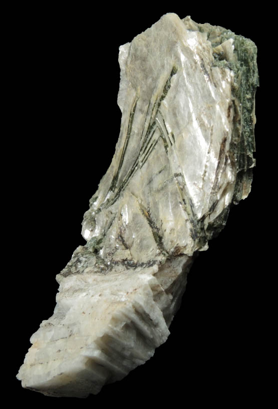 Elbaite Tourmaline in Muscovite from Strickland Quarry, Collins Hill, Portland, Middlesex County, Connecticut