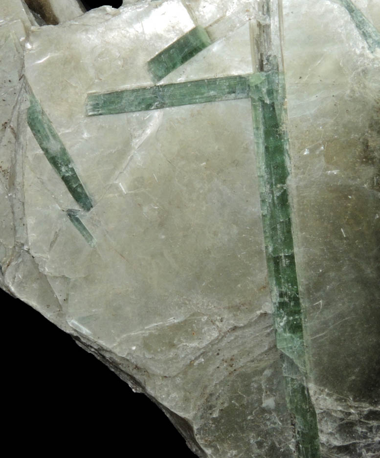 Elbaite Tourmaline in Muscovite from Strickland Quarry, Collins Hill, Portland, Middlesex County, Connecticut