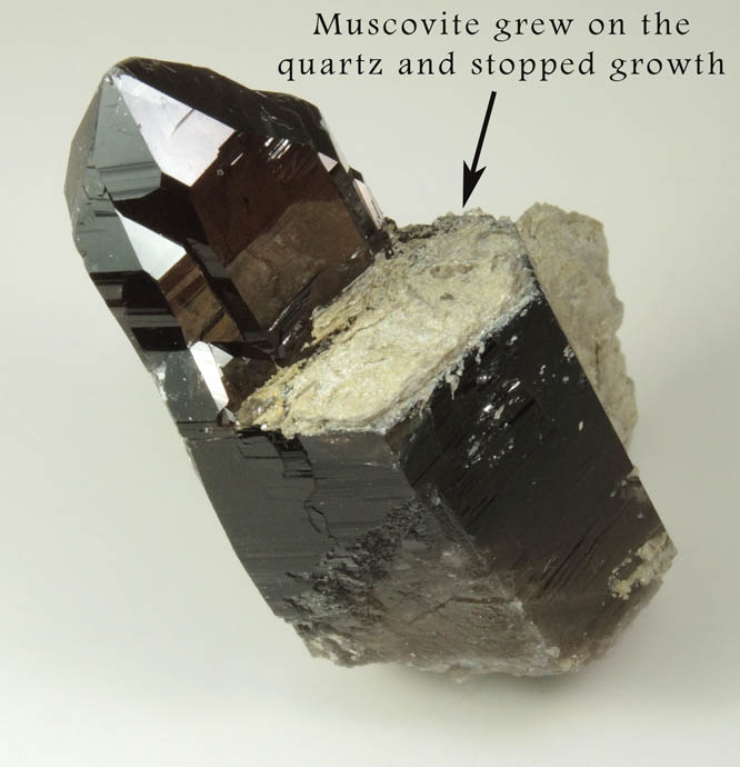 Quartz var. Smoky Quartz (Dauphin Law Twinned) with Muscovite Mica from Moat Mountain, west of North Conway, Carroll County, New Hampshire