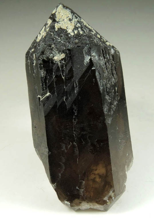 Quartz var. Smoky Quartz (Dauphin Law Twinned) from Moat Mountain, west of North Conway, Carroll County, New Hampshire