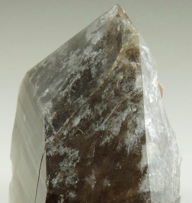 Quartz var. Smoky Quartz from Moat Mountain, west of North Conway, Carroll County, New Hampshire