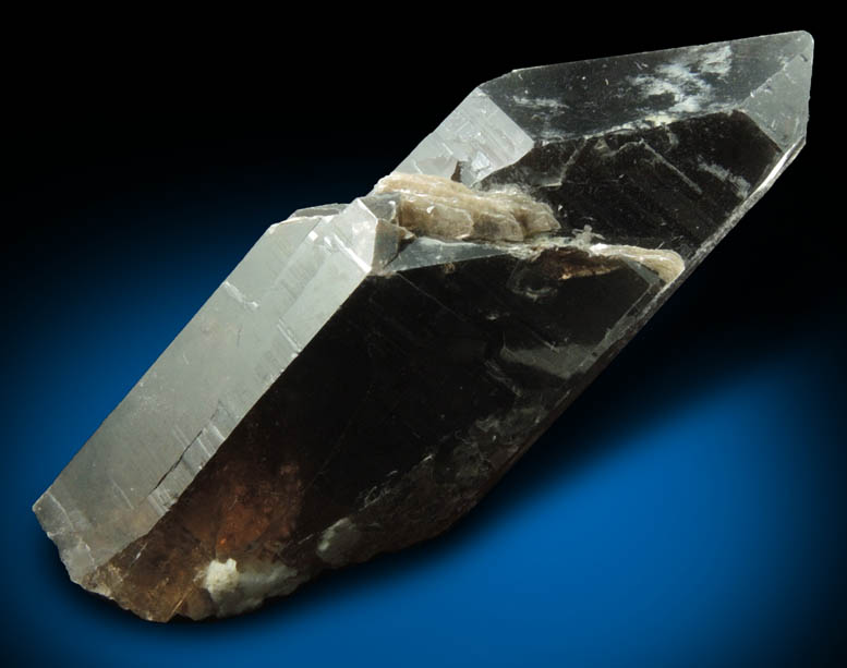 Quartz var. Smoky Quartz (Dauphin-law twin) with Muscovite from Moat Mountain, west of North Conway, Carroll County, New Hampshire