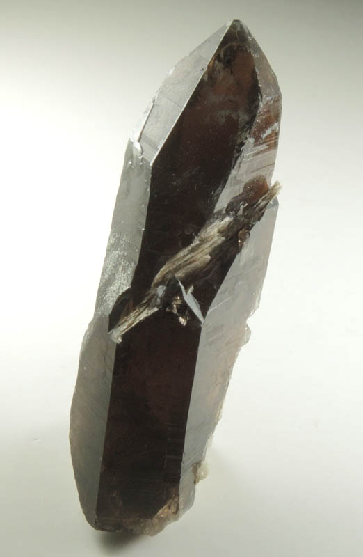 Quartz var. Smoky Quartz (Dauphin-law twin) with Muscovite from Moat Mountain, west of North Conway, Carroll County, New Hampshire