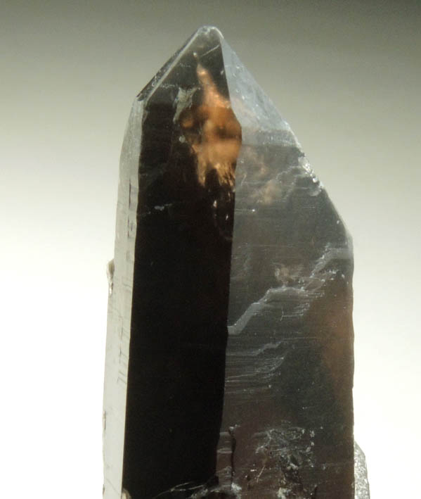 Quartz var. Smoky Quartz (Dauphin-law twin) with Muscovite from Moat Mountain, west of North Conway, Carroll County, New Hampshire