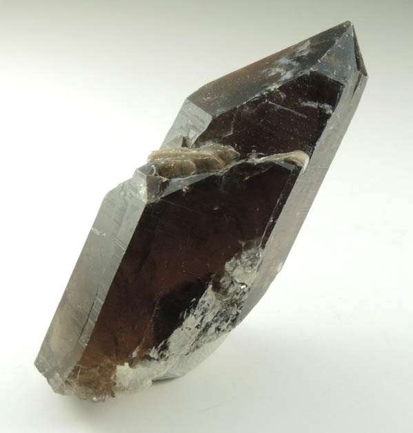 Quartz var. Smoky Quartz (Dauphin-law twin) with Muscovite from Moat Mountain, west of North Conway, Carroll County, New Hampshire