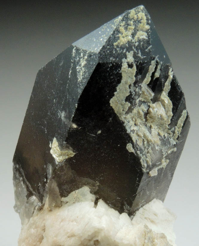 Quartz var. Smoky Quartz (Dauphiné-law twin) on Microcline from Moat Mountain, west of North Conway, Carroll County, New Hampshire