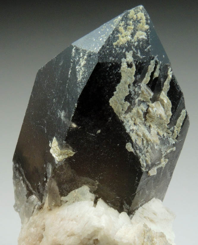 Quartz var. Smoky Quartz (Dauphin-law twin) on Microcline from Moat Mountain, west of North Conway, Carroll County, New Hampshire