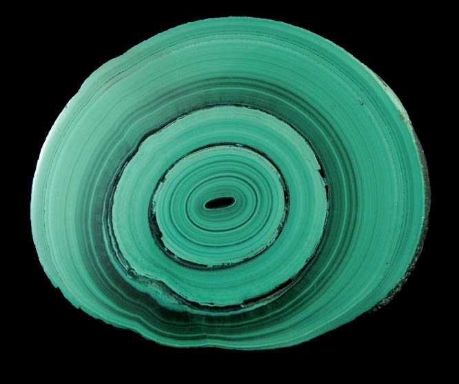 Malachite (concentric growth malachite polished slice) from Kolwezi Mining District, 240 km WNW of Lubumbashi, Katanga Copperbelt, Lualaba Province, Democratic Republic of the Congo