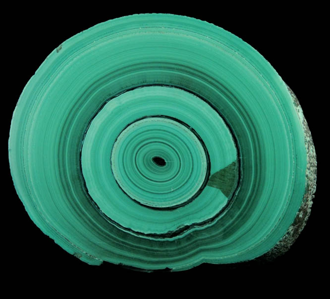 Malachite (concentric growth malachite polished slice) from Kolwezi Mining District, 240 km WNW of Lubumbashi, Katanga Copperbelt, Lualaba Province, Democratic Republic of the Congo