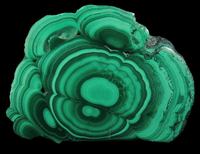 Malachite (polished slice of concentric growth malachite) from Kolwezi Mining District, 240 km WNW of  Lubumbashi, Katanga Copperbelt, Lualaba Province, Democratic Republic of the Congo