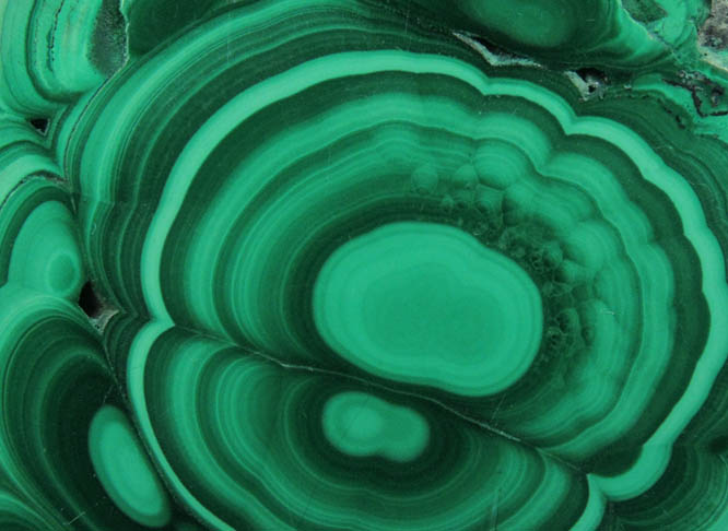 Malachite (polished slice of concentric growth malachite) from Kolwezi Mining District, 240 km WNW of  Lubumbashi, Katanga Copperbelt, Lualaba Province, Democratic Republic of the Congo