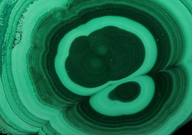 Malachite (polished slice of concentric growth malachite) from Kolwezi Mining District, 240 km WNW of  Lubumbashi, Katanga Copperbelt, Lualaba Province, Democratic Republic of the Congo