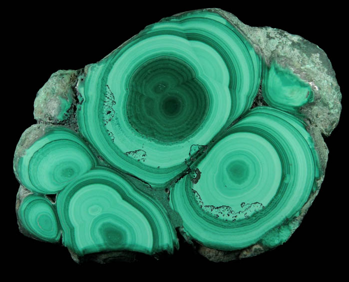 Malachite (concentric growth malachite polished slice) from Kolwezi Mining District, 240 km WNW of  Lubumbashi, Katanga Copperbelt, Lualaba Province, Democratic Republic of the Congo