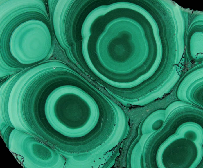 Malachite (concentric growth malachite polished slice) from Kolwezi Mining District, 240 km WNW of  Lubumbashi, Katanga Copperbelt, Lualaba Province, Democratic Republic of the Congo