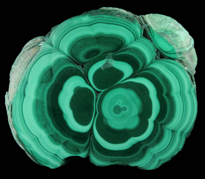 Malachite (concentric growth malachite polished slice) from Kolwezi Mining District, 240 km WNW of Lubumbashi, Katanga Copperbelt, Lualaba Province, Democratic Republic of the Congo