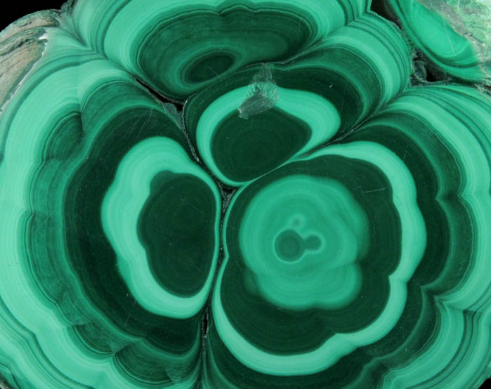Malachite (concentric growth malachite polished slice) from Kolwezi Mining District, 240 km WNW of Lubumbashi, Katanga Copperbelt, Lualaba Province, Democratic Republic of the Congo