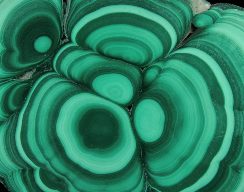 Malachite (concentric growth malachite polished slice) from Kolwezi Mining District, 240 km WNW of  Lubumbashi, Katanga Copperbelt, Lualaba Province, Democratic Republic of the Congo