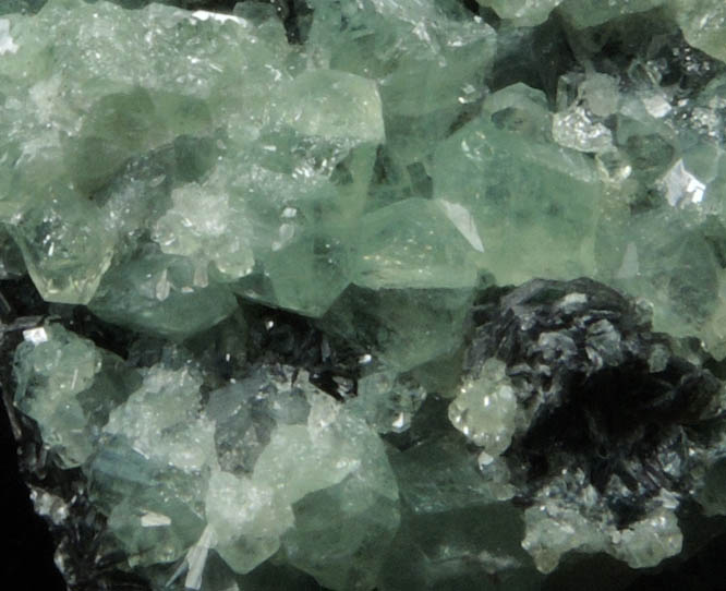 Andradite var. Demantoid Garnet on Clinochlore from Chukotskii (Chukotka), Magadan Oblast, Russia