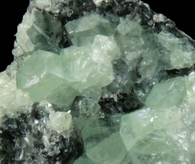 Andradite var. Demantoid Garnet on Clinochlore from Chukotskii (Chukotka), Magadan Oblast, Russia