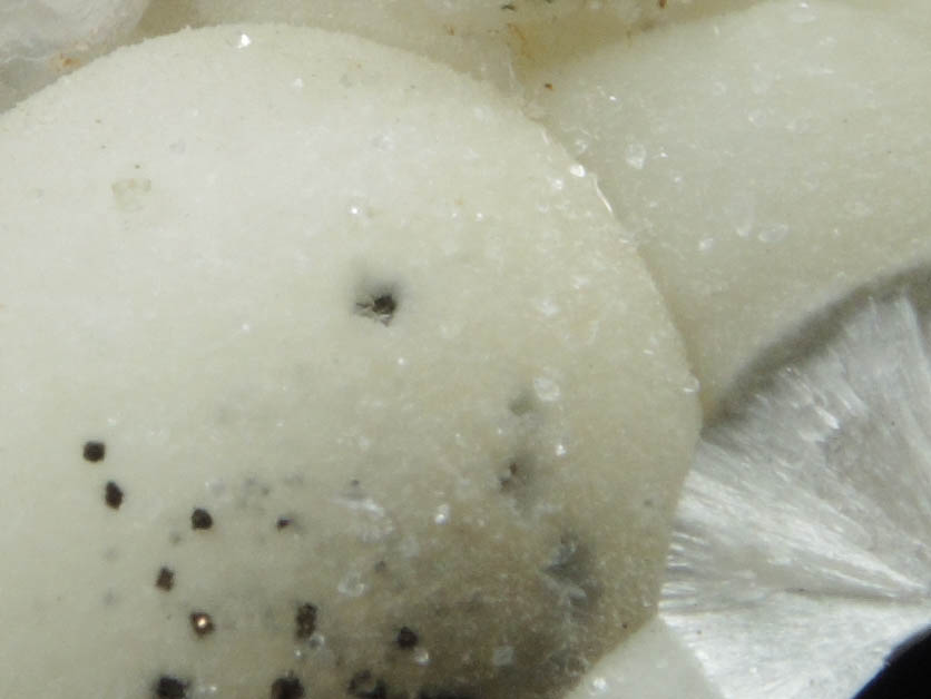 Apophyllite on Pectolite from Millington Quarry, Bernards Township, Somerset County, New Jersey