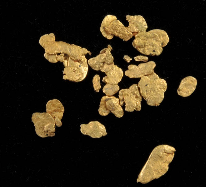 Gold from Hokitika District, South Island, New Zealand