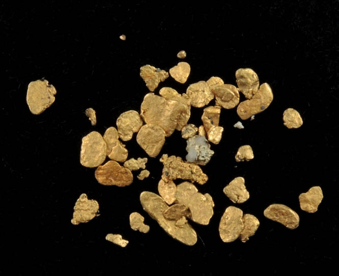 Gold from Hokitika District, South Island, New Zealand
