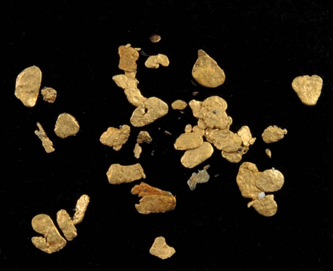 Gold from Hokitika District, South Island, New Zealand