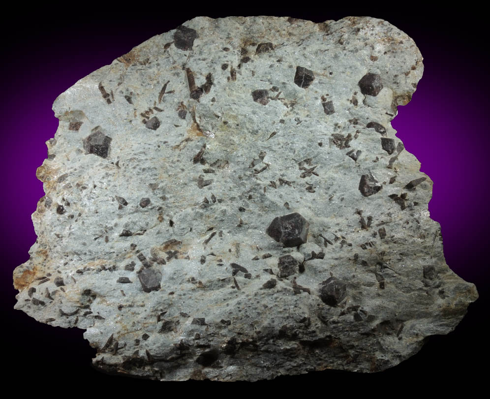 Almandine Garnet with Staurolite from Green's Farm, 750 m. ESE of Roxbury Falls, Roxbury, New Haven County, Connecticut