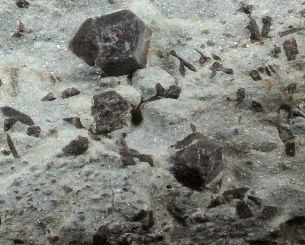 Almandine Garnet with Staurolite from Green's Farm, 750 m. ESE of Roxbury Falls, Roxbury, New Haven County, Connecticut