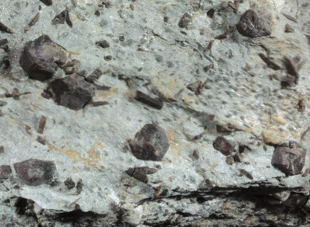 Almandine Garnet with Staurolite from Green's Farm, 750 m. ESE of Roxbury Falls, Roxbury, New Haven County, Connecticut