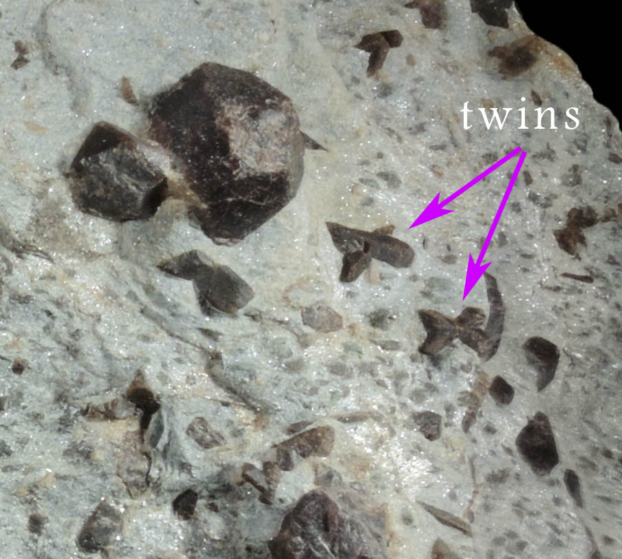 Almandine Garnet with Staurolite from Green's Farm, 750 m. ESE of Roxbury Falls, Roxbury, New Haven County, Connecticut