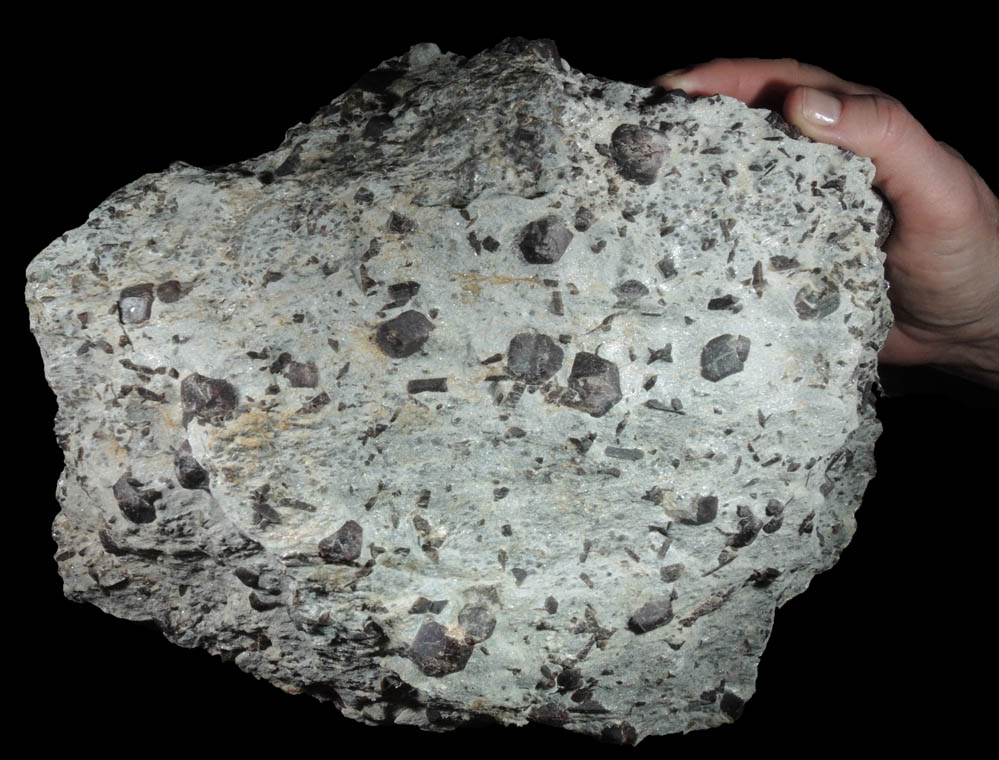 Almandine Garnet with Staurolite from Green's Farm, 750 m. ESE of Roxbury Falls, Roxbury, New Haven County, Connecticut