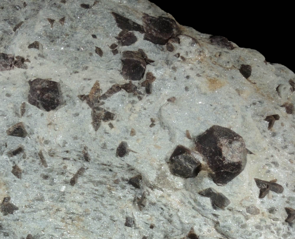 Almandine Garnet with Staurolite from Green's Farm, 750 m. ESE of Roxbury Falls, Roxbury, New Haven County, Connecticut