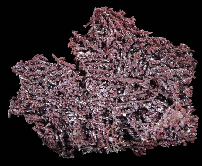 Copper (naturally crystallized native copper) with Cuprite coating from Bisbee, Warren District, Cochise County, Arizona