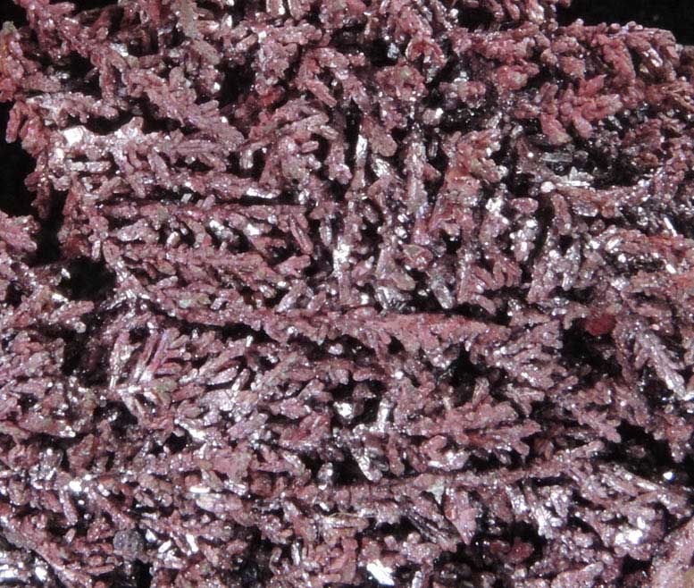 Copper (naturally crystallized native copper) with Cuprite coating from Bisbee, Warren District, Cochise County, Arizona