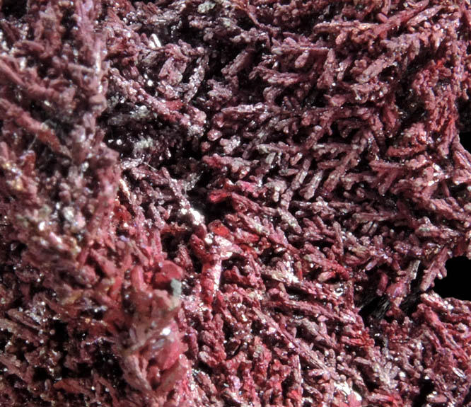 Copper (naturally crystallized native copper) with Cuprite coating from Bisbee, Warren District, Cochise County, Arizona